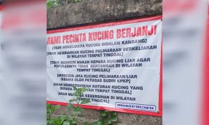 RW 04 Batuampar Kramat Jati sosialisasikan bersih dari kotoran kucing