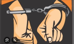 Sopir mobil pembawa MBG yang tabrak siswa SD diancam 5 tahun penjara