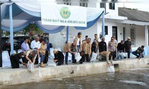 Daryatmo dan pengurus YSPN tebar 400 ribu benih nila untuk pasok dapur MBG