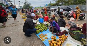 Papua Pegunungan bangun koperasi untuk tampung hasil bumi warga